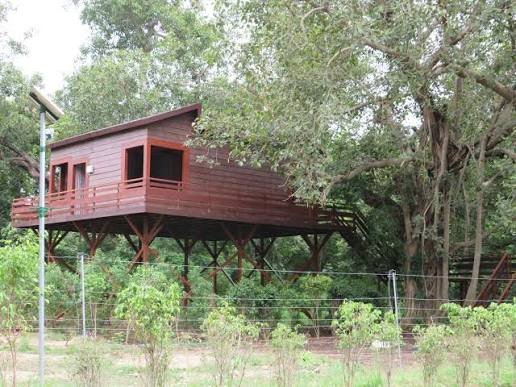 Phato Zone Lodge