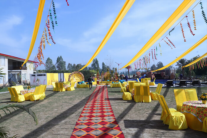 Haldi