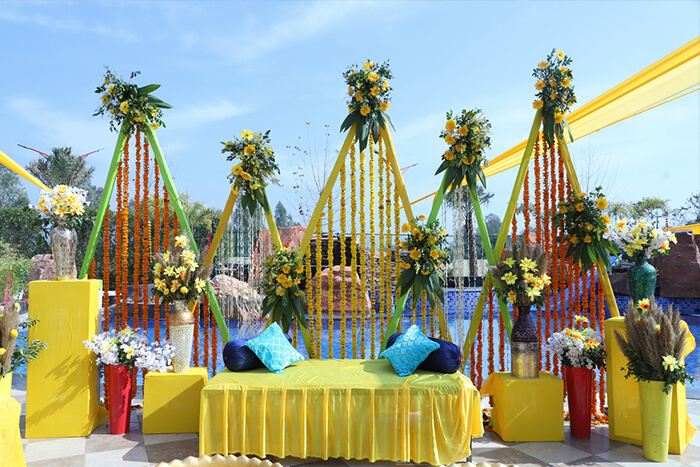 Haldi
