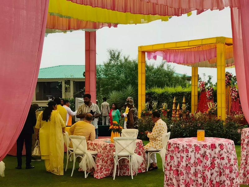 Haldi